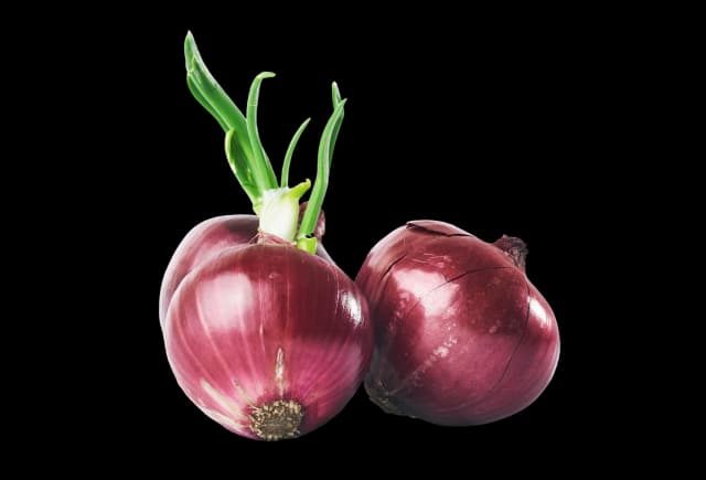 Red Onion